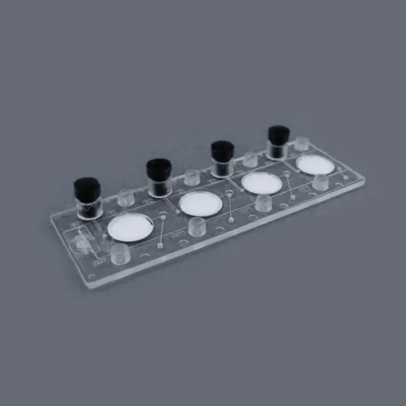 Customize Different Pattern Microfluidic Chip 1