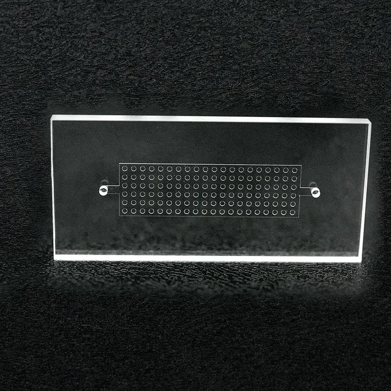 Custom Different Pattern Microfluidic Chip Droplet Generation Digital Pcr Biochip 1