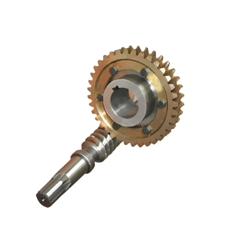 Manufacturer Oem Odm Customized High Quality Brass Worm Gear 1
